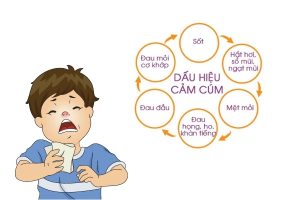 2.triệu chứng cam_cum